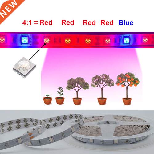 Phyto LED Plant Growth Light Full Spectrum Hydroponic LED St