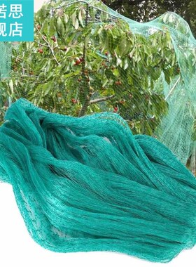 Insect 4x10m Anti Bird Net Garden Netting Tree Fruit Plant P