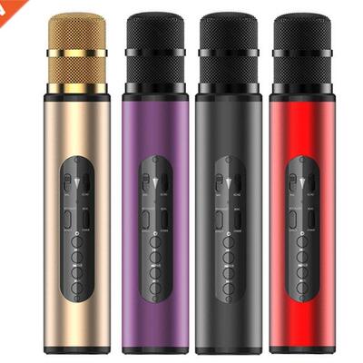 Wireless Bluetooth Microphone Stereo DSP Karaoke Speaker Dyn