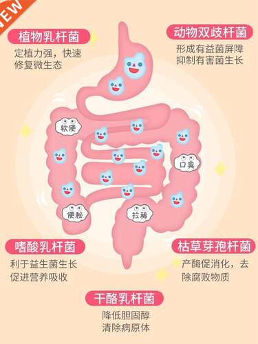 Wowo pet probiotics dog recuperate intestines and stomach
