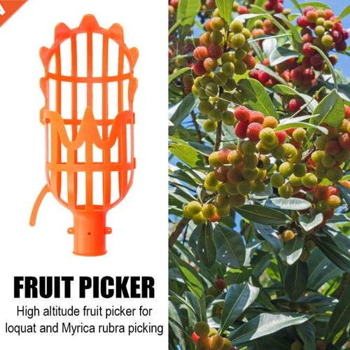 Portble Fruit Picker Plstic Ornge Per Mngo Hrvesting P