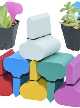KESLA 50PCS Colorful Plant Marker 50*70MM Garden Bonsai Succ