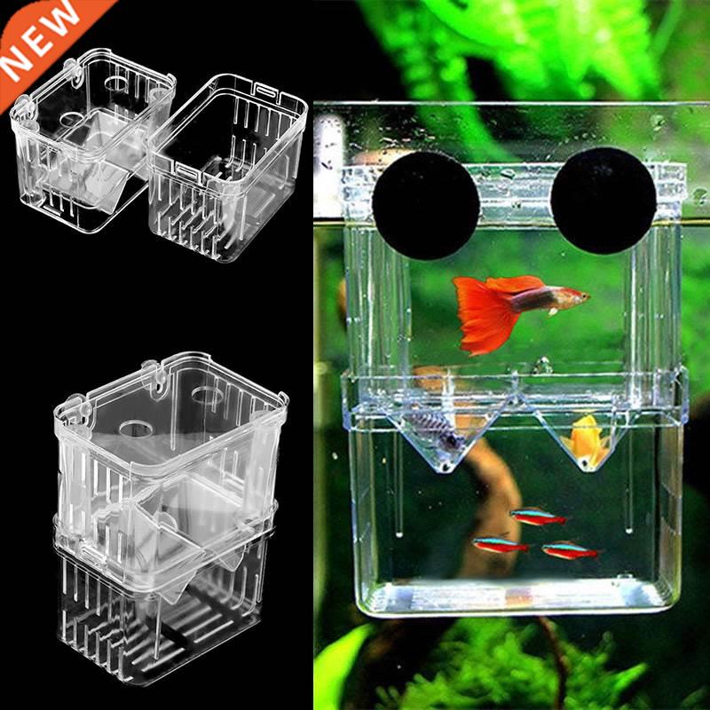 Acrylic Clear Suspension Fish Breeding Isolation Box Breeder