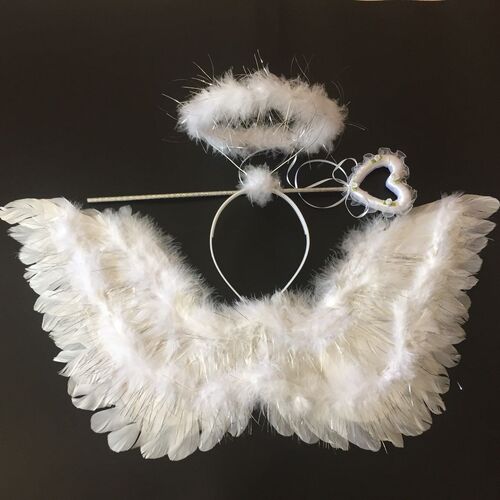 Angel Wing Dress Up Costume Feather Fairy Halloween wing