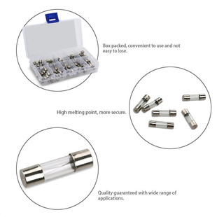 100pcs Blow Glass Tube Fuses Set Glass Fuse With Box 0.25/0.