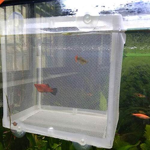 Fish Tank Aquarium Breeding Box Net Hatchery Fry Trap Float