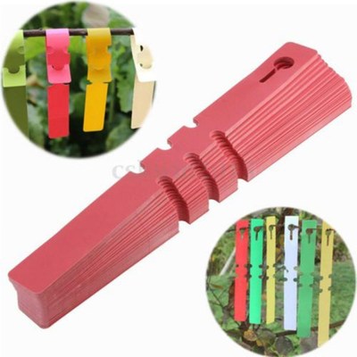 100 pcs Gardening PVC Tags Kindergarten Plant Tied Tag Marke