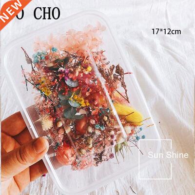 10 Kind oxed Dried Flower DIY Accessories Dry Aromatherapy