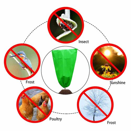 pc Plant Protection Antifreeze Cover Warm Cover Tree Shrub