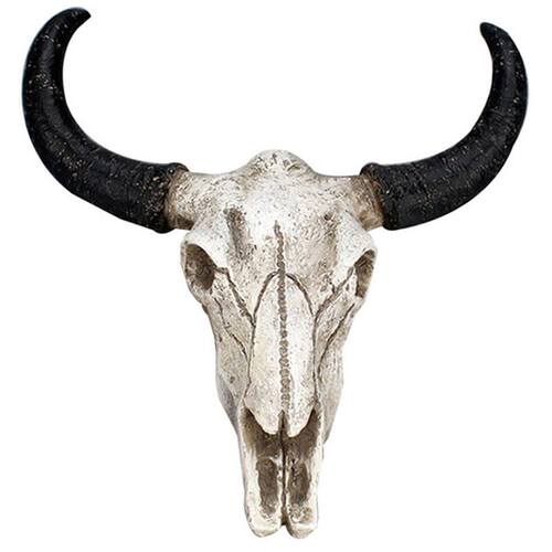 Resin Longhorn Cow Skull Head Wall Hanging Decor D Animal W