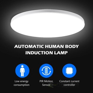 1 Pcs Led Pir Motion Sensor Ceiling Light Modern Lamp 18w 12