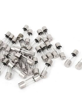 AC 250V 13A Blow Acting Type Glass Tube Fuses 5mm x 20mm 30