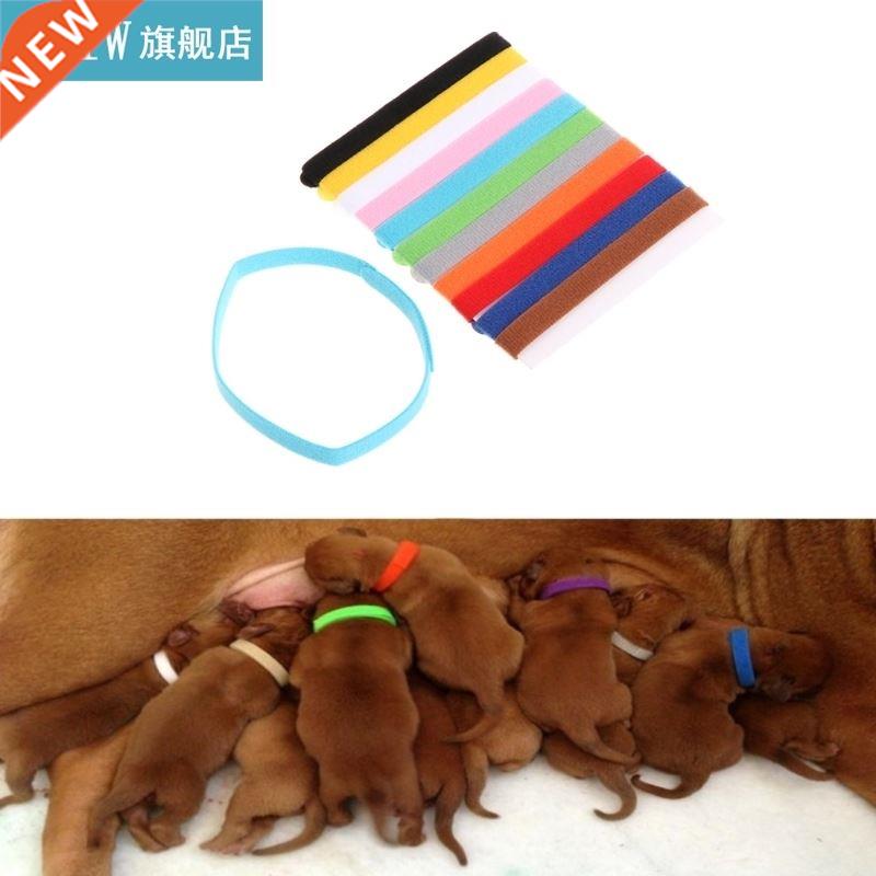 12Pcs/Set Pet Collrs Different Colors Soft Identifiction M