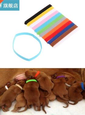 12Pcs/Set Pet Collrs Different Colors Soft Identifiction M