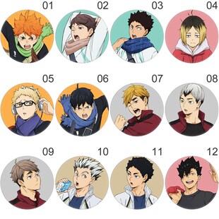 Haikyuu!! Cosplay Badges Hinata Shoyo Brooch Pins Anime Voll