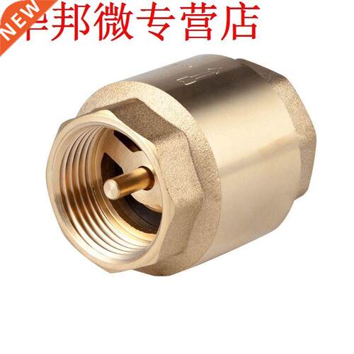 Brass Female Male Thread In Line Spring Vertical Check Valve
