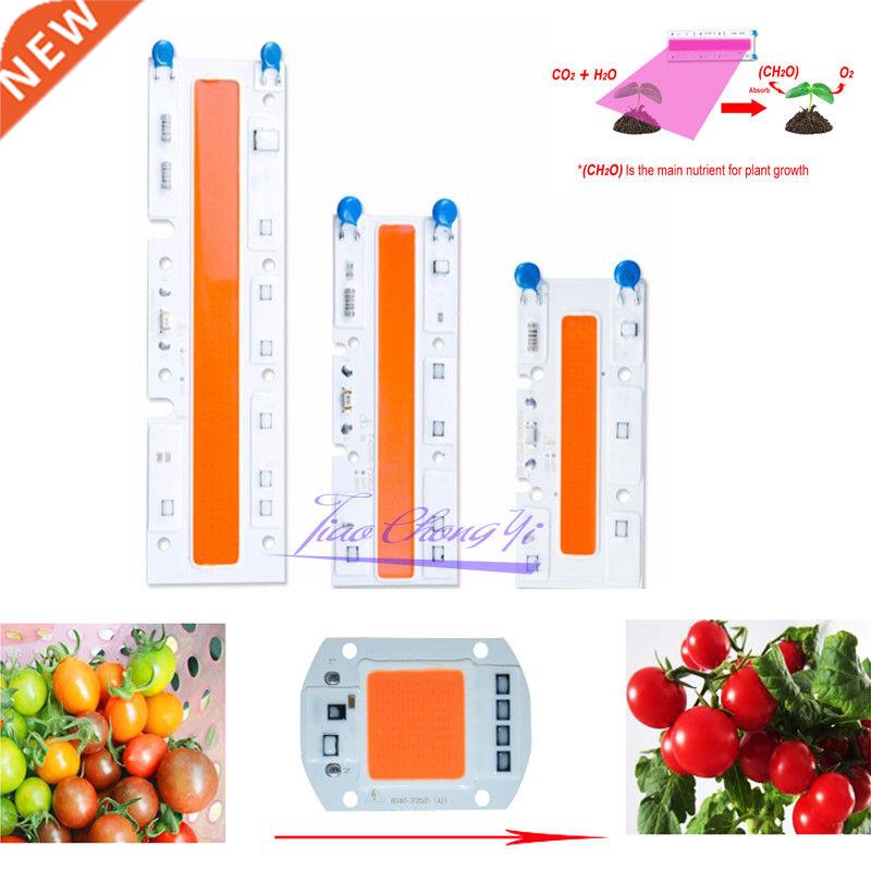 1pcs Hydroponice AC 220V /110v 20W 30W 50w 70W led grow chip