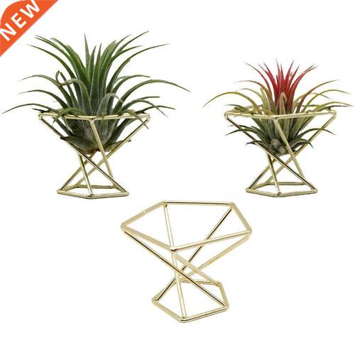 3 Pcs Geometric Air Plant Holder Airplants Rack Metal Plants