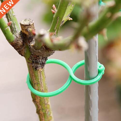50/100 Pcs Garden Plant Holder Trellis Clips For Vine Vegeta