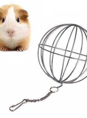 Pets Grass Feeding Ball Stainless Steel Electroplated Round