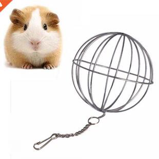 Pets Grass Feeding Ball Stainless Steel Electroplated Round