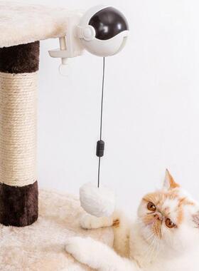 Electronic Motion Pet Fun Toys Interactive Funny Electric Ca