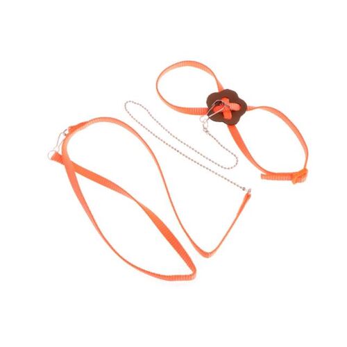 Parrot Bird Leash Outdoor Adjustable Harness Training Rope A
