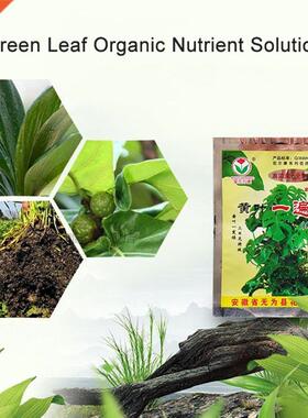20g Horticultural Water Soluble Fertilizer Garden Agricultu