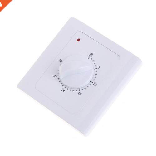AC 220 V 10A 30Min Countdown Timer Switch Electric Digital T