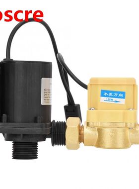 Brushless DC Water Pump with Switch 24V Electric 1000L/h G1/
