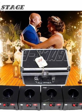 1 Case 4/6/8 Base Firing Cold Firework Machine Wireless Remo