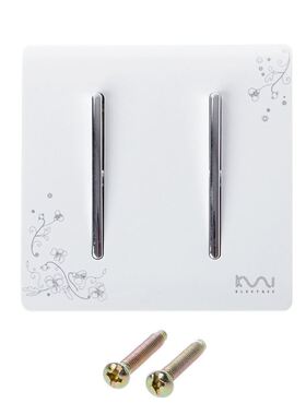 Luxury Wall Light Switch 2 Gang 1 Way Ivory White Brief Art