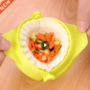 Dumplings Mold Home Kitchen Plastic Pressing Rapid Prototypi