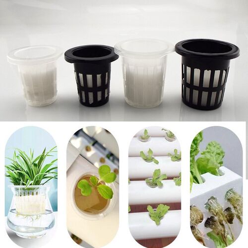 Plant Grow Nursery Mesh Cup pot with sponge Netcolonization