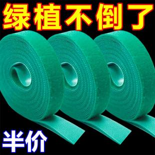 植物绑带捆绑扎带热植园艺可反复使用魔术贴向上攀爬固定不伤绿植