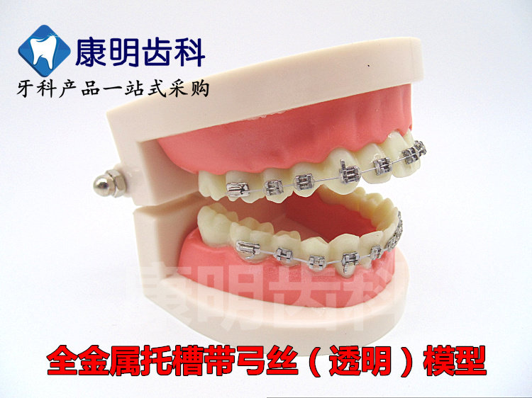 牙科齿科材料金属托槽牙模型 医患沟通教学口腔牙模型包邮,美容美体仪器,口腔护理设备礼盒,淘宝优惠券,粉丝福利购,淘宝优惠卷