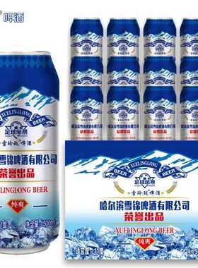 哈尔滨精酿雪锦啤酒易拉罐500ml罐装整箱夜市烧烤搭档厂家特批发
