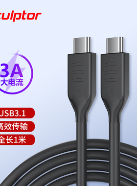 雕塑家 双Type-C数据线 快充手机充电器线4K信号适用于显示器SP01