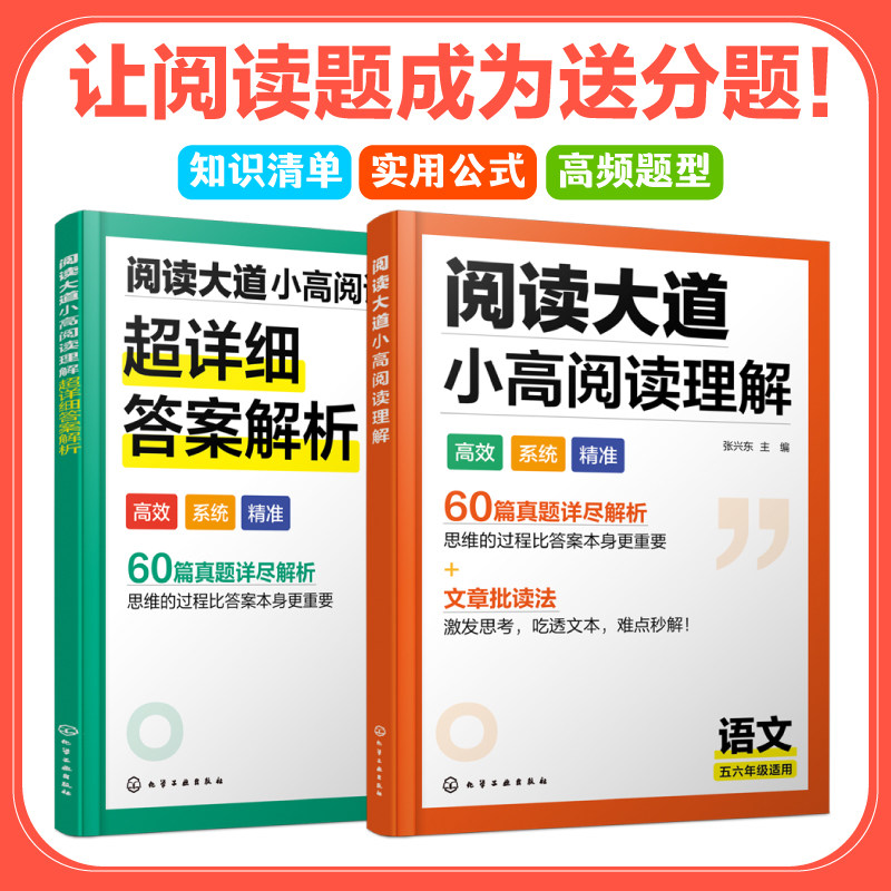 阅读大道小高阅读理解 全2册 小学五六年级通用高年级语文方法真题5-6年级60篇真题详尽解析文章【HXGY】