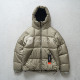 NextVogue Down GOLDWIN PERTEX QUANTUM 机能连帽羽绒服 25AW