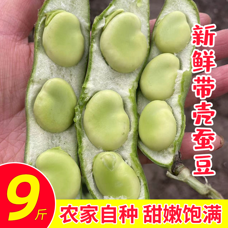 苏北农家新鲜蔬菜带壳大生蚕豆嫩角米罗汉豆兰花胡豆佛青豆荚5斤 水产肉类/新鲜蔬果/熟食 新鲜豆类 原图主图