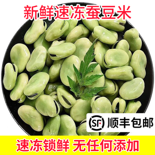 苏北本地冷冻生大绿心蚕豆米嫩胡豆罗汉豆角青豆新鲜蔬菜餐饮商用