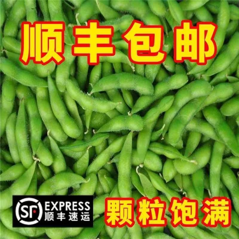 顺丰盐城农家本地新鲜大青毛豆角带壳青豆嫩黄豆大豆毛豆豆荚蔬菜图片