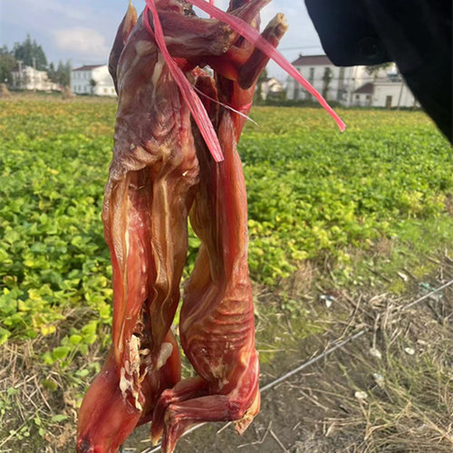 农家腌制腊肉风干腊兔整个乔诚