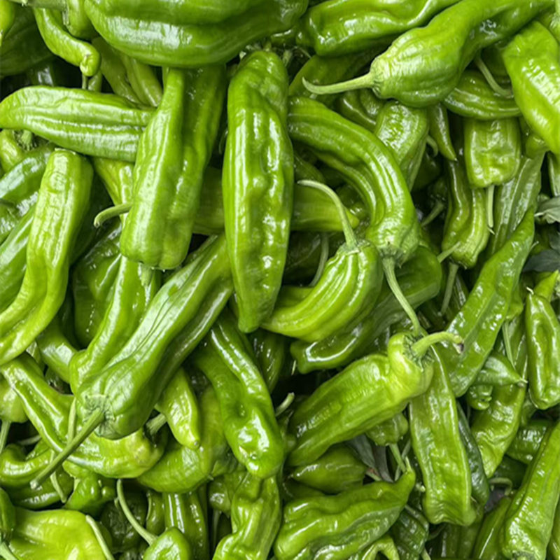 现摘现发 坏果包赔