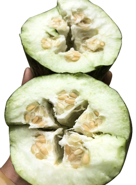 苏北农家新鲜瓜果花皮水瓜烧瓜梢瓜菜瓜黑皮不甜脆瓜凉拌现摘现发