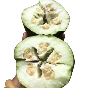 苏北农家新鲜瓜果花皮水瓜烧瓜梢瓜菜瓜黑皮不甜脆瓜凉拌现摘现发