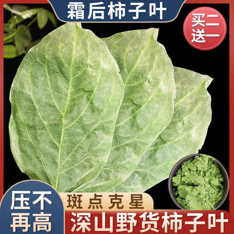 柿子叶功效中药材新鲜密野生干货霜降打后柿子树叶子茶粉压泡水喝