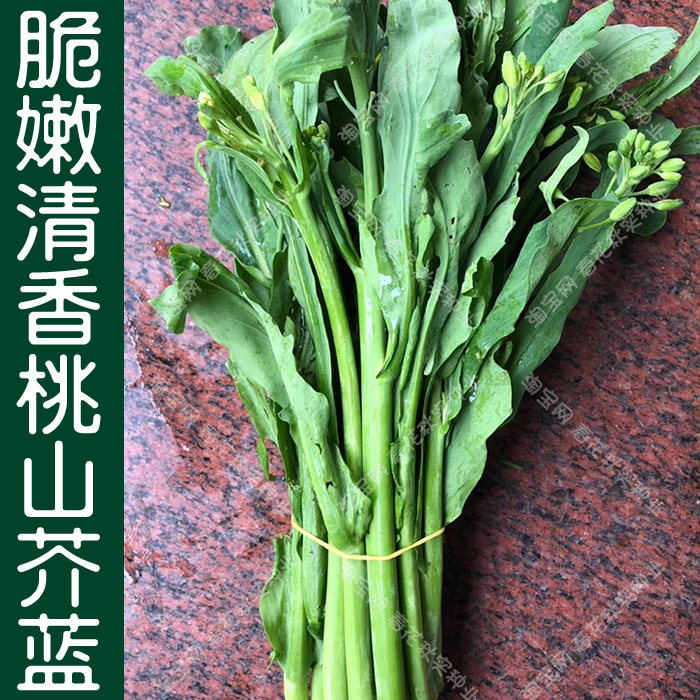 芥兰菜长啥样,芥兰菜的图片及效,白油菜_大山谷图库