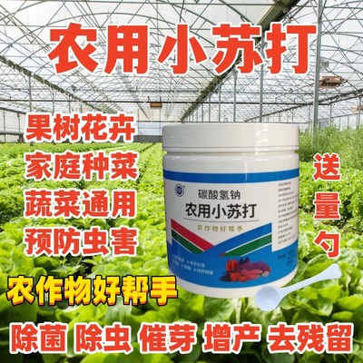 农用小苏打种菜花卉果树防治虫害